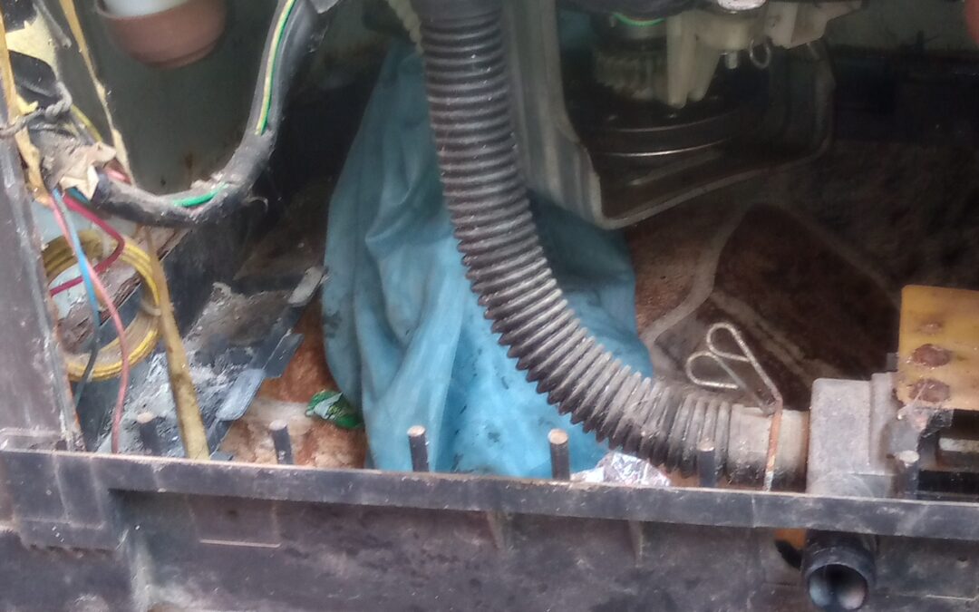 Cambió de transmisión de lavadora haceb